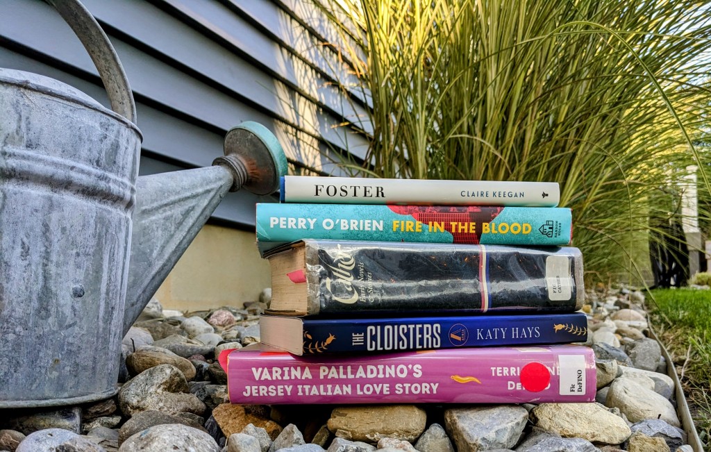 My Summer Book Report – lost in the dust jackets